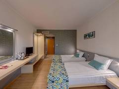 Zimmerbild 7
