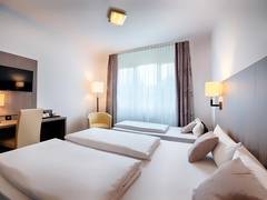 Zimmerbild 11