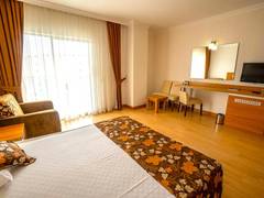 Zimmerbild 8