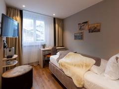 Zimmerbild 13