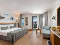 Zimmerbild 3