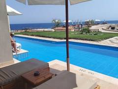 Zimmerbild 50