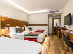 Zimmerbild 11