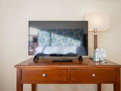 Zimmerbild 7