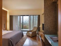 Zimmerbild 4