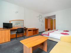 Zimmerbild 10