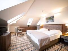 Zimmerbild 8