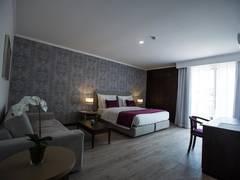 Zimmerbild 8