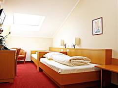 Zimmerbild 5