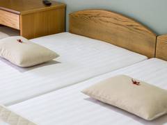 Zimmerbild 7