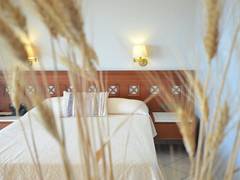 Zimmerbild 24