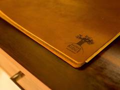 Zimmerbild 10