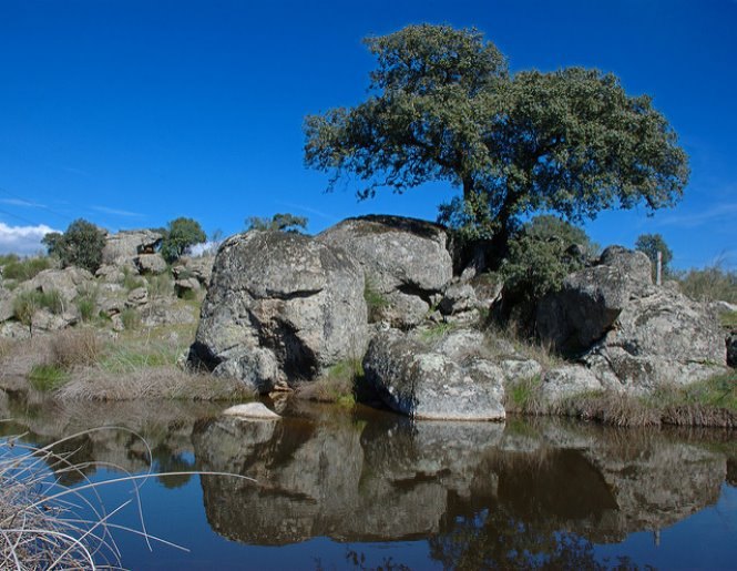 parque-natural-de-cornalvo-badajoz