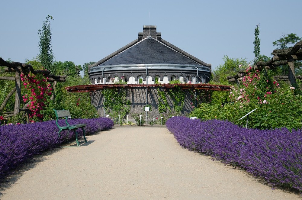 Berlino - Botanischer Garten