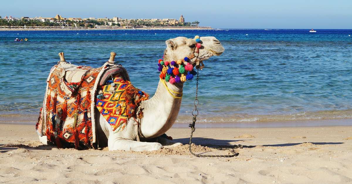 Frankfurt - Hurghada