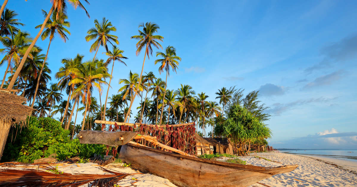 Glasgow - Zanzibar