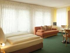 Zimmerbild 9