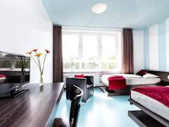 Zimmerbild 40