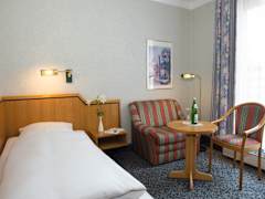 Zimmerbild 8