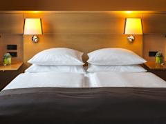Zimmerbild 11