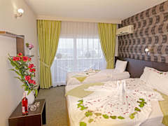 Zimmerbild 9