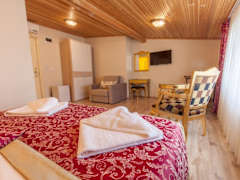 Zimmerbild 9