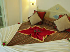 Zimmerbild 36