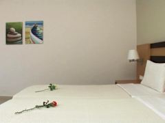 Zimmerbild 65