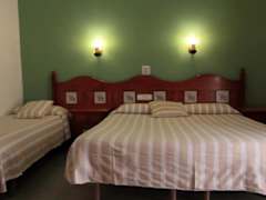 Zimmerbild 14