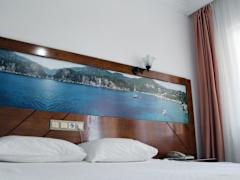 Zimmerbild 13