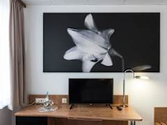 Zimmerbild 6