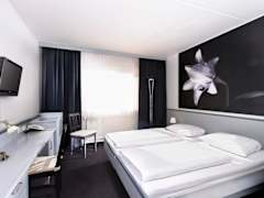 Zimmerbild 11