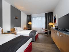 Zimmerbild 12