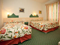 Zimmerbild 14
