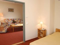 Zimmerbild 0