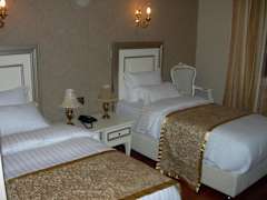 Zimmerbild 14