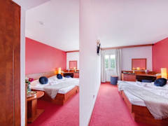 Zimmerbild 19
