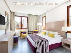 Zimmerbild 26