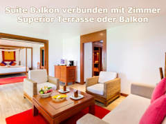 Zimmerbild 14