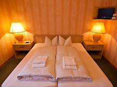 Zimmerbild 6