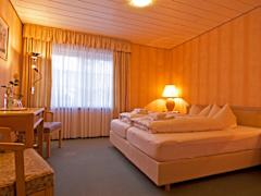 Zimmerbild 1
