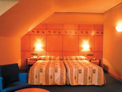Zimmerbild 13