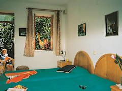 Zimmerbild 10