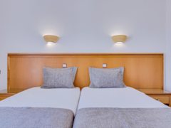 Zimmerbild 47
