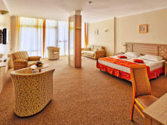 Zimmerbild 20