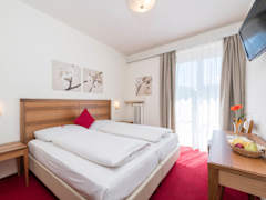 Zimmerbild 7