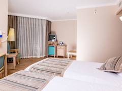Zimmerbild 6