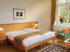Zimmerbild 2
