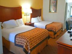 Zimmerbild 1