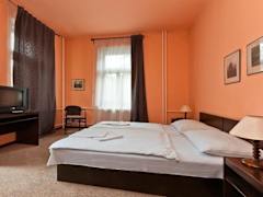 Zimmerbild 5